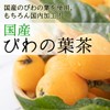Healthy Company Domestic Loquat Leaf Tea, 0.1 oz (3 g)