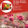 Isis Natural Egyptian Hibiscus Dried Herbal Pure Tea Bag Premium