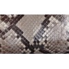 Genuine Leather Python Wallet, Wallet, Coin Purse, Coin Purse, Python,