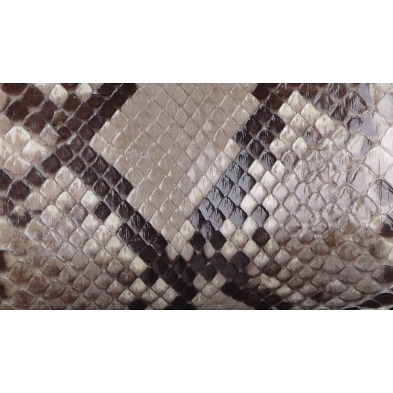 Genuine Leather Python Wallet, Wallet, Coin Purse, Coin Purse, Python,