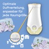 Glade Glade electric scented oil Nachfüller, elektrischer Raumduft Duftstecker mit