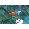 TFA 30.3160 Replacement Float Transmitter for Miami White/Blue
