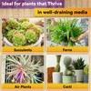 Riare 4QT Orchid Potting Mix for Repotting- Orchid Repotting Kit