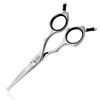 HASHIMOTO Small Dog Grooming Scissors with Rounded Tips, 5.0 inch,