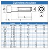 Eisenwaren2000 Cylindrical Screws with Hexagon Socket M8 x 170 mm