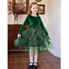 Arshiner Little Girls Green Dress Irregular Hem Tulle Cute Bowknot