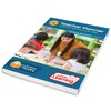 Junior Learning Teacher Planner Phonemic Awareness, Letters and Sounds, Language