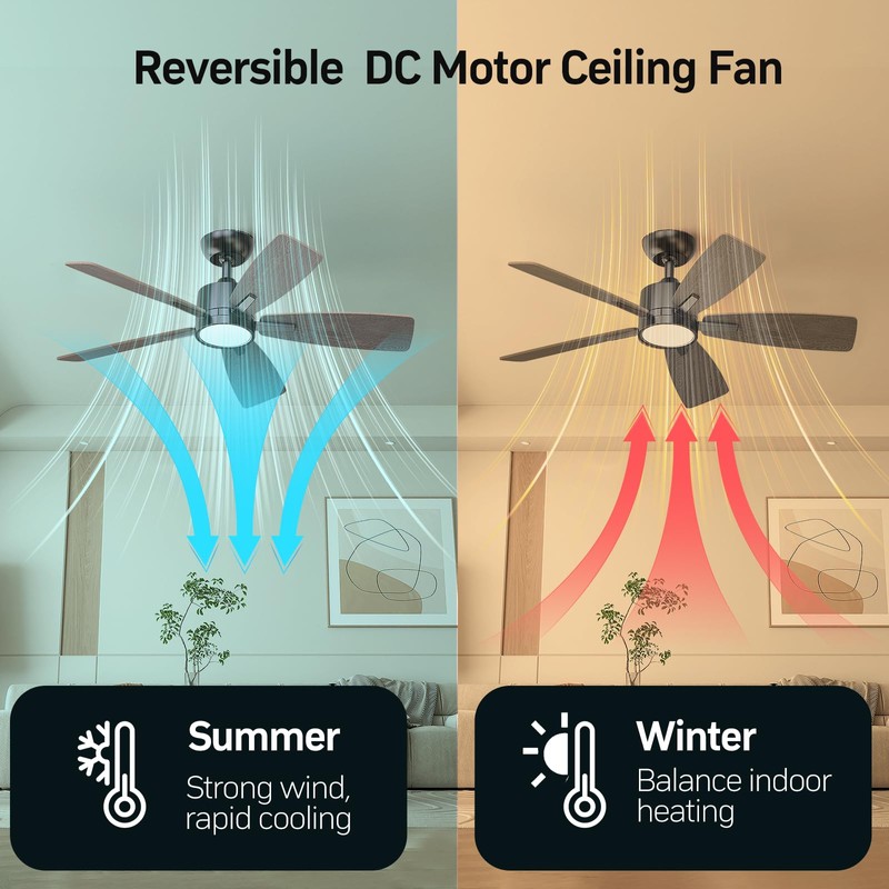 TALOYA 42 Inch Ceiling Fans with Lights Led Remote Control