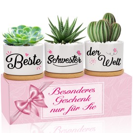 Gifts for Sister, Best Sister in the World Flower Pots, Birthday, Graduation, Gift for Adults, Sister, Flower Pots for Planting