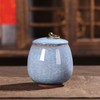 Small Urn for Human Ashes,Dog/Cat Ashes Urn,Forever in Our Hearts,Small