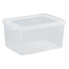Shinki Gosei Dragonfly Natural Jumbo Seal Storage Container, Antibacterial, Deep,