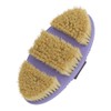 AIMALL Oval Horse Cleaning Brush - Versatile Riding Comb with