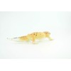 Collectible Wildlife Gifts Leopard Gecko, Toy, Realistic Hand Painted Rubber