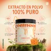 Commons Hongos Adaptógenos - Hongo Cordyceps - Extracto Puro en