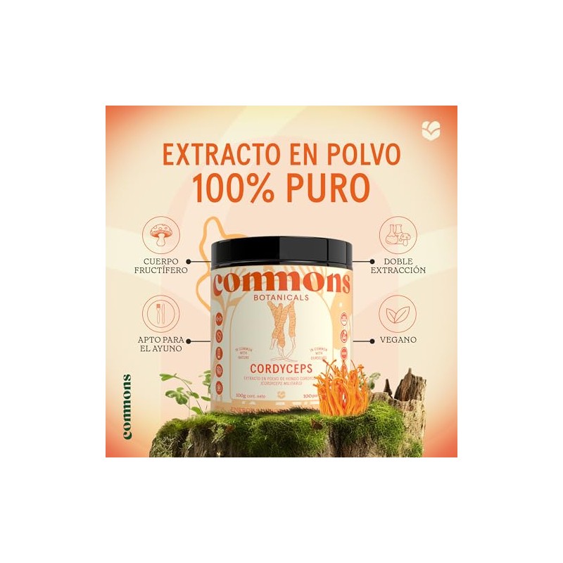 Commons Hongos Adaptógenos - Hongo Cordyceps - Extracto Puro en