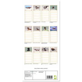 Familienplaner 2026 - Boxer Welpen einfach zuckersüß mit 5 Spalten (Wandkalender, 21 cm x 45 cm), CALVENDO: Lass dich von den süßesten Boxerwelpen ... dein Herz erobern. (CALVENDO Tiere)