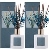 Cocorrína Premium Reed Diffuser Set with Preserved Baby's Breath &