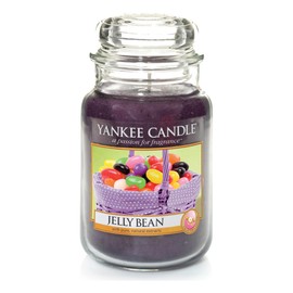 Yankee Candle Large Jar Candle, Purple