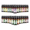 Hanolly Kit De Aceites Esenciales Para Aromaterapia 26 X 6