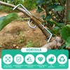 VZU Pack of 30 8 cm M-shaped Fruit Tree Branch
