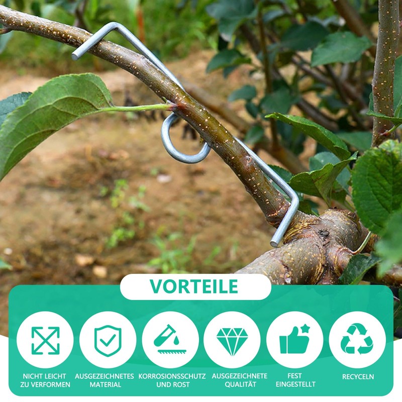 VZU Pack of 30 8 cm M-shaped Fruit Tree Branch