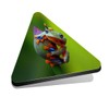 1x Triangle MDF Magnet 6cm - Javan Tree Frog Flying