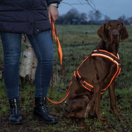 ANNYX Protect Chest Harness Bright Orange / Brown Size L