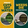 Spruce Weed Killer Spray - Snap & Spray Weed &