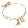 Alex and Ani “Super Mom” Duo-Charm Bangle
