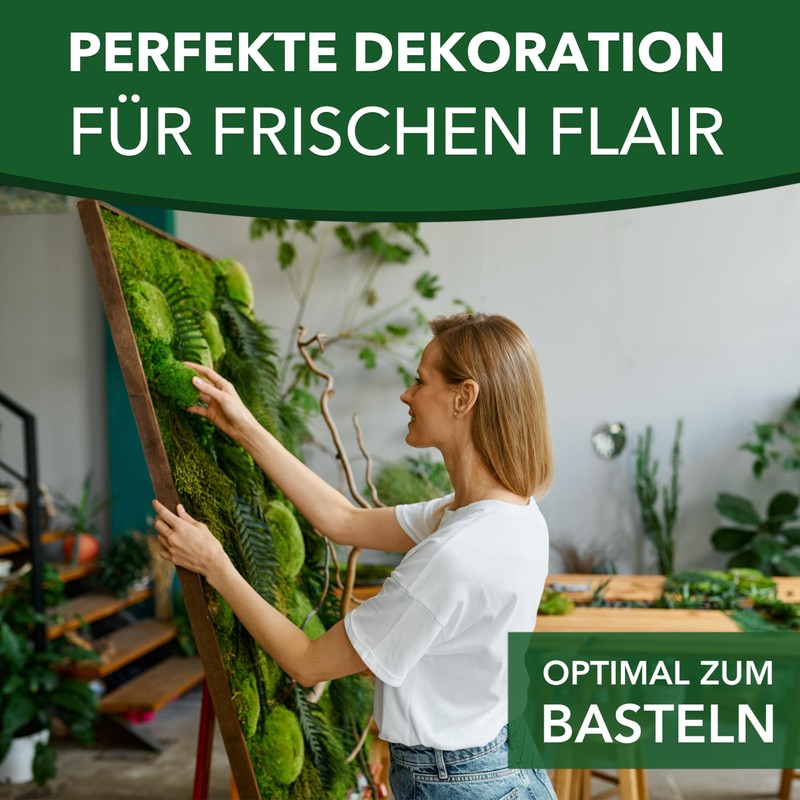 sphagnum-shop.com Plate Moss Preserved for Moss Pictures Decorative Moss Premium