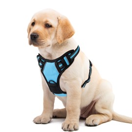 Azinoo Blue No-Pull Dog Harness with 2 Leash Clips，Soft Padded Vest for Small Dog, Adjustable Reflective Dog Vest Easy to Put on and Take Off,(Neck: 13"~17", Chest: 17"~21",Blue Small)