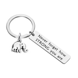 Never Forget How Strong You Are Keychain for Women Men Inspirational Elephant Keychain Gift for Daughter Son Birthday Christmas Gift Encouragement Gift for Friends Sisters Animal Lovers
