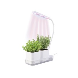PEARL Mini Growing & Propagation Station, 2 Pots Grow LEDs & Water Tank