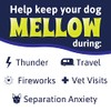 Mellow Shirt Dog Anxiety Calming Wrap, Medium, Radiant Orchid