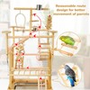 LIMIO Bird Playground - Natural Wood Parrot Playstand with Perches,