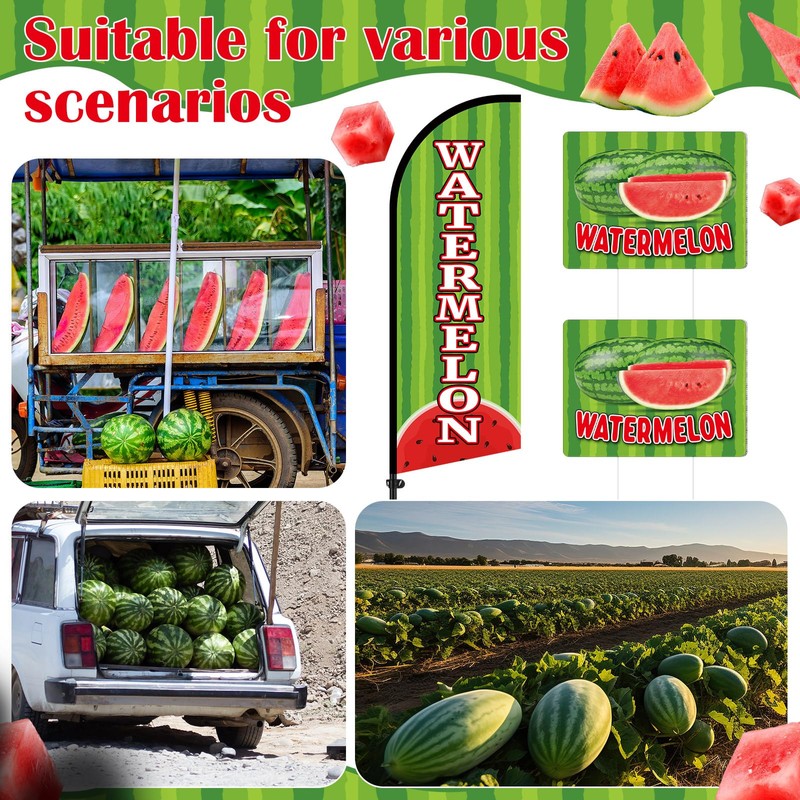 Hillsuren Watermelon Advertising Feather Flag Pole Kit Include 7 ft
