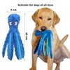 Squeaky Dog Toys for Small, Medium, and Large Pets, Cute