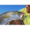 Yo-Zuri 3D Inshore Pencil (F) 100mm 4" Chartreuse Floating Lure