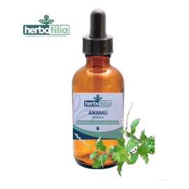 Herbofilia Anamú Petiveria  Aceite Macerado De 120ml Incluye Gotero