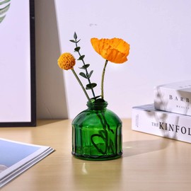 Aebor Glass Bud Vases Set of 6, Glass Flower Vases Small Bottles for Floral Arrangements, Rustic Decorative Floral Vases for Centerpiece Home Living Room Office Decoration or Wedding Event (Green B)