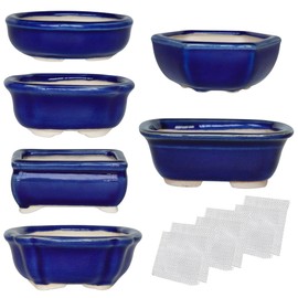 Bonsai Planter 6 pc Mini Glazed Succulent Pots Value Set + 6 Soft Mesh Drainage Screens