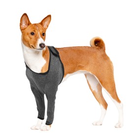 CAPASTEC Front Leg Sleeves for Dogs Recovery Sleeve Dog Front Leg Pad Elbow Bandage Protection for Hot Spots Wounds Bandages XXL Grey