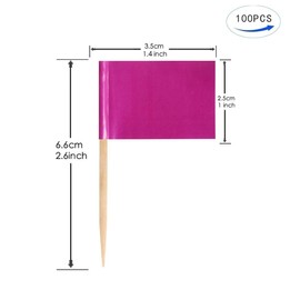 JAVD CYPS 100 Pcs Color Toothpick Flag (Pink) Pink Toothpick Flag Blank Toothpick Flag, Fruit Cheese Markers Flags Small Mini Stick Cupcake Toppers Blank Pink Toothpick Flags