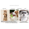 Pet Grooming Clippers Professional Low Noise USB Rechargeable Electric Cat