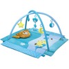 Baby Play Gym & Activity Mat for Boys Unisex with