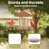 RichBird Window Bird Feeder for Outdoors, Clear Bird Feeders Window