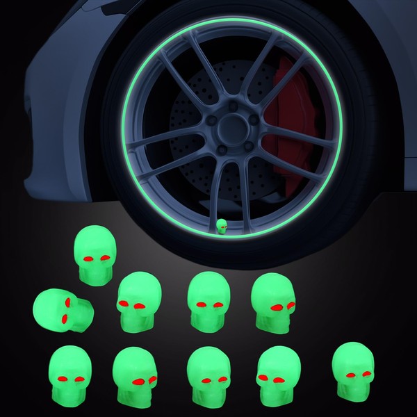 Ganbaro Car Tyre Dust Caps, Valve Caps for Car Tyres,