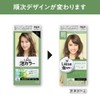 Liese Prettia Bubble Color Hair Dye
