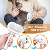 Cat Steam Brush 3 in 1 Cat Brush with Steam