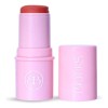Blush En Barra 6g Humectante Biotiks Protección Solar Fps 15